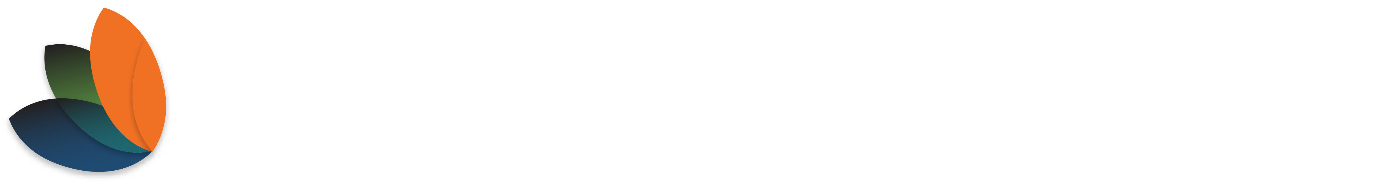 Bloom Bank Logo
